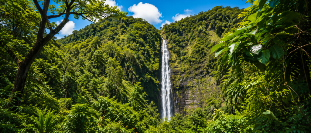 pipiwai trail to waimoku falls