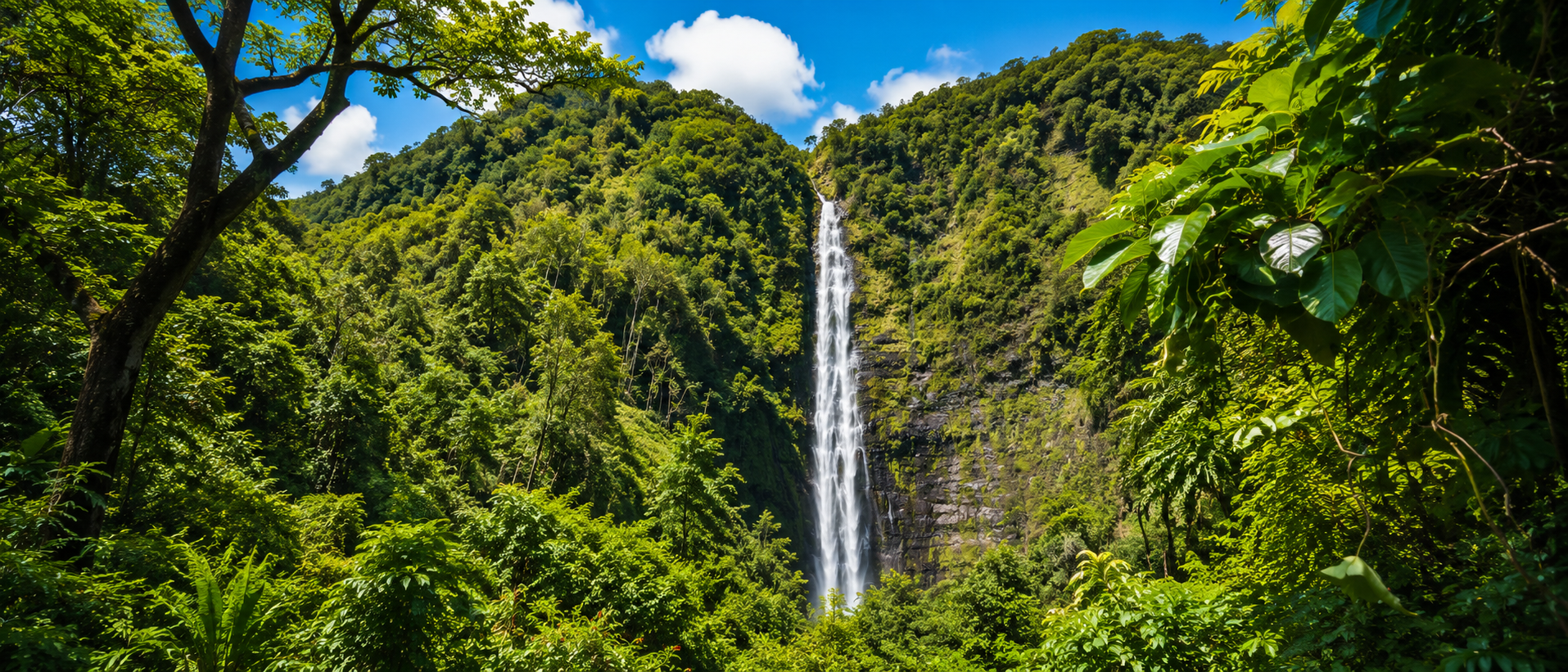 pipiwai trail to waimoku falls