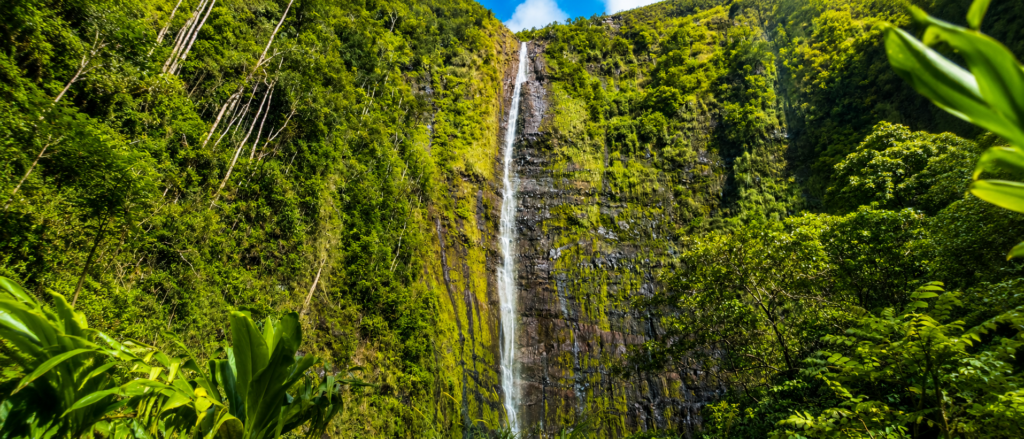 Pipiwai Trail & Waimoku Falls